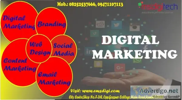 Search engine optimization (SEO) by Msdigi Tech Solutions Pvt.Lt