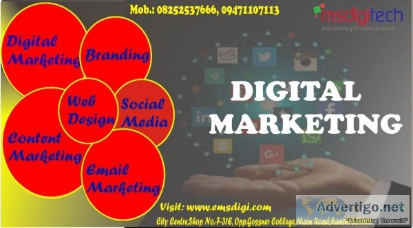 Search engine optimization (SEO) by Msdigi Tech Solutions Pvt.Lt