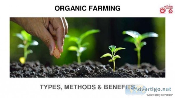 Organic Farming in India