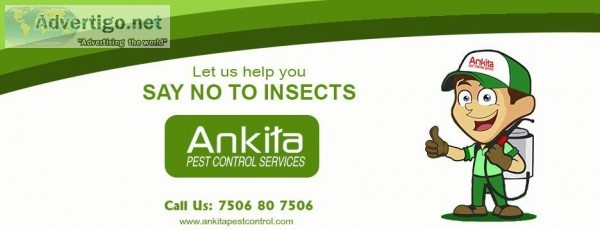 Pest control for Cockroaches in mumbai