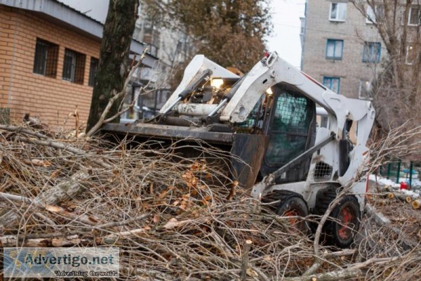 Get Emergency Tree Removal Service