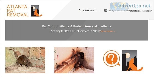 Pest and Rat Control Services in Atlanta