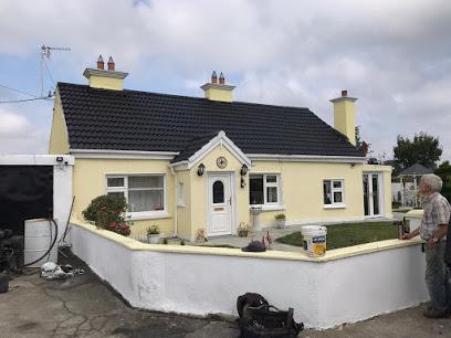 Best service of House Painters in Kildavin