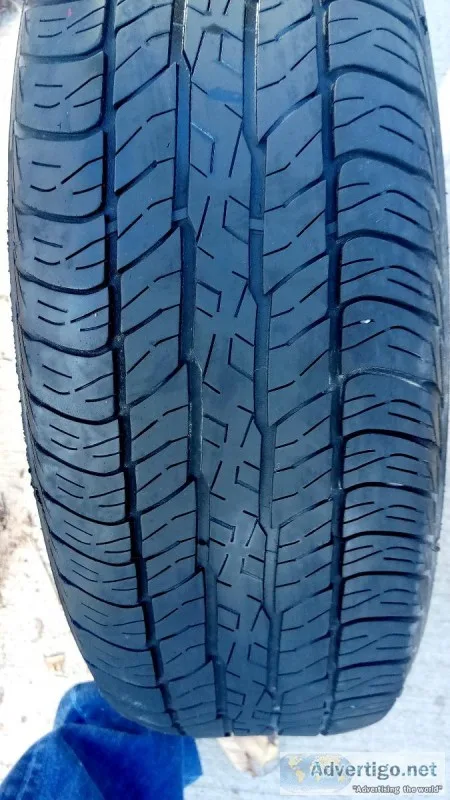 Matching set of dunlop 15 inch tires