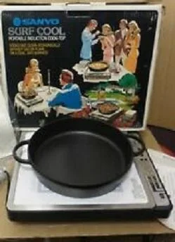Sanyo Portable Induction Cooktop JAPAN Made Top Shape JUST 30