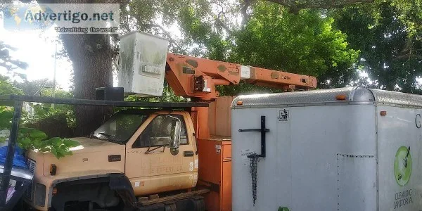 TREE SERVICE