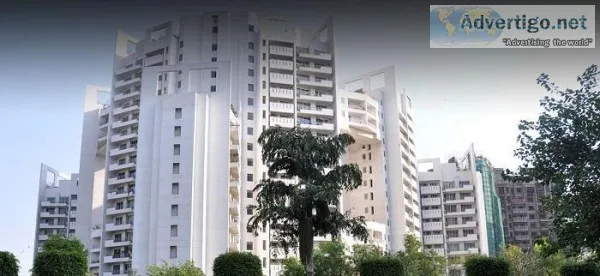 Apartments for Rent in Parsvnath Exotica Golf Course Road Gurgao