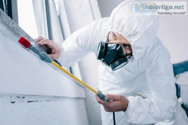 Pest Control Professionals Hampshire