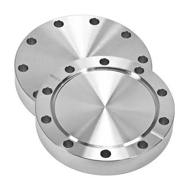 A182 F316316L Flanges