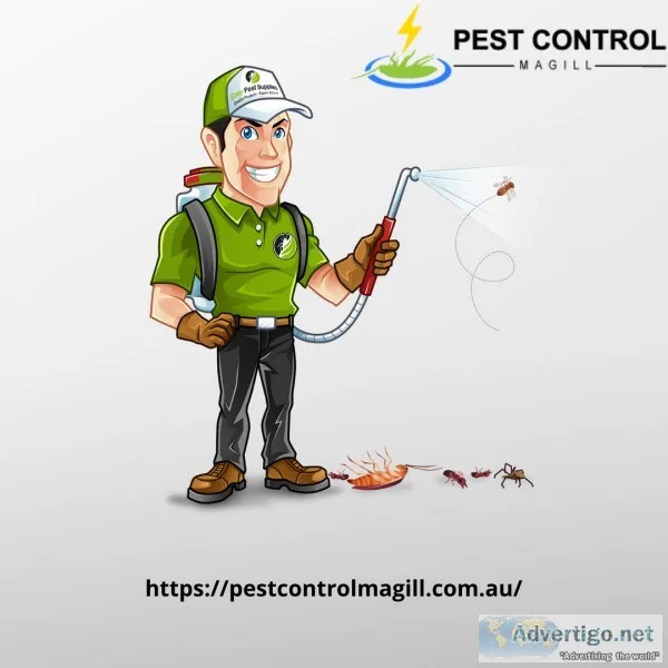 Reliable Pest Control Service
