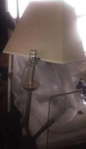 Floor Lamp (LightandGreat condition) JUST 6