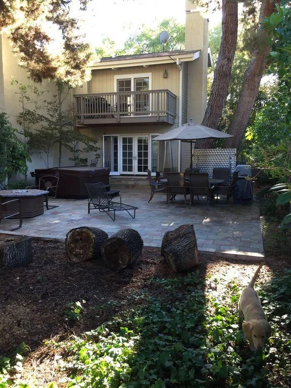 Spacious and bright house for rent