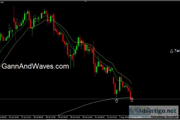 Gann and waves course in india | elliott wave