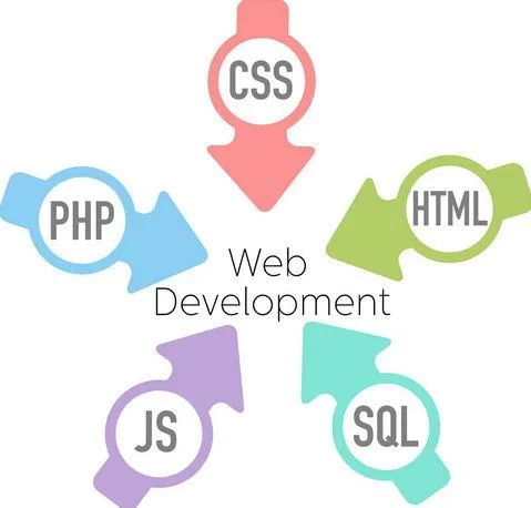 Get Best Website Development Services in Kolkata - Hire Seorises