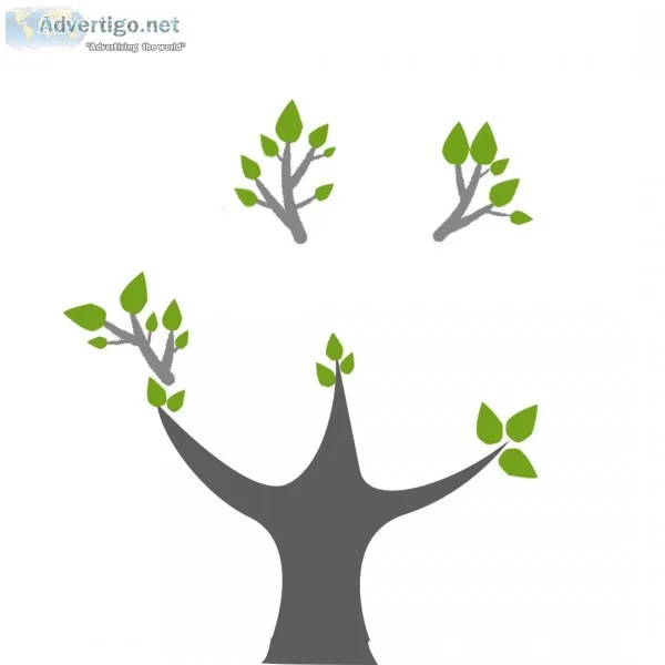 What seo strategies follw: seo company in dubai