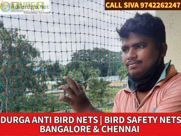 Bird protection nets bird nets installation near me bangalore