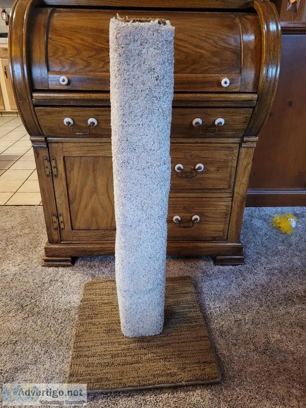 Cat Scratching Post