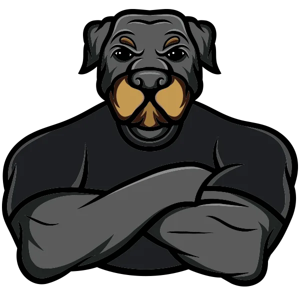 BIG DOGS JUNK REMOVAL SERVICE CHEAPEST IN TOWN WE PROMISE