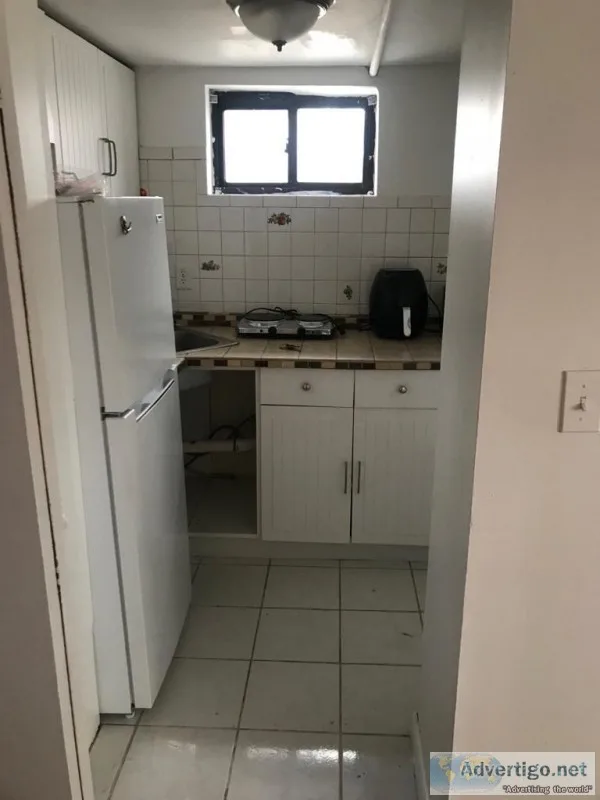 Small Studio in Flushing  only 1 working person  Lady