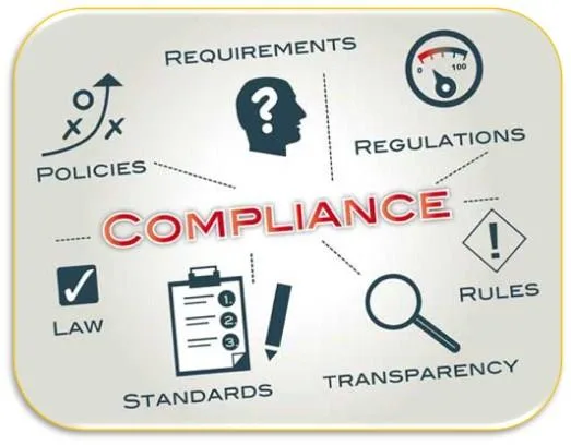 Section 8 Company Compliance in India