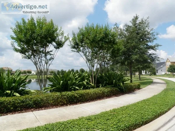 What You Need to Know About Landscape Enhancements  DTELandscape