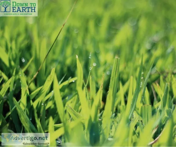 Integrated Pest Management