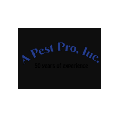 Hire Professional Commercial Pest Control Treatment and Preventi