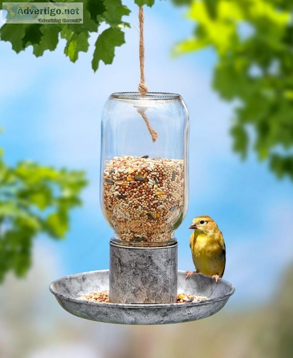 Hanging Mason Jar Bird Feeder
