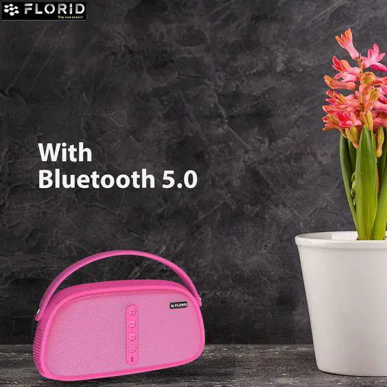 Best Portable Bluetooth Speakers Wireless Speaker With Mic  Flor
