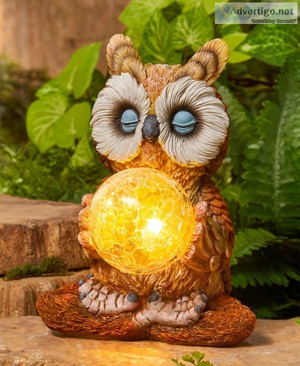 Meditation Pose Solar Owl