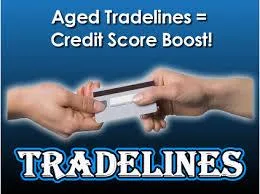 Authorized user tradelines