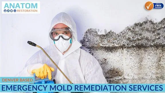 Denver Based Emergency Mold Remediation Services
