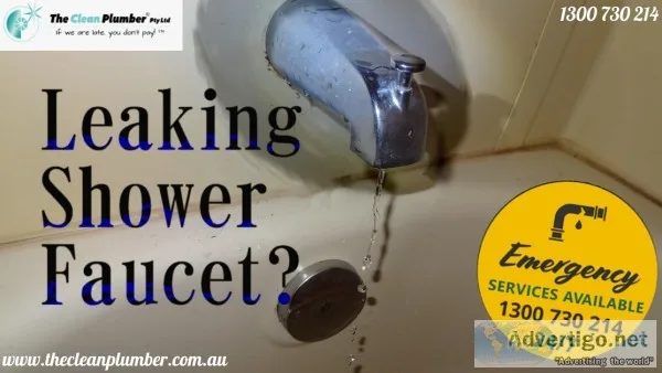 How to Fix a Leaking Shower  The Clean Plumber