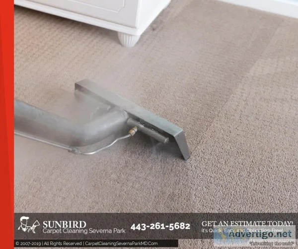 Deep Carpet and Upholstery Cleaning Near You
