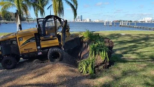 Stump Grinding Jacksonville FL