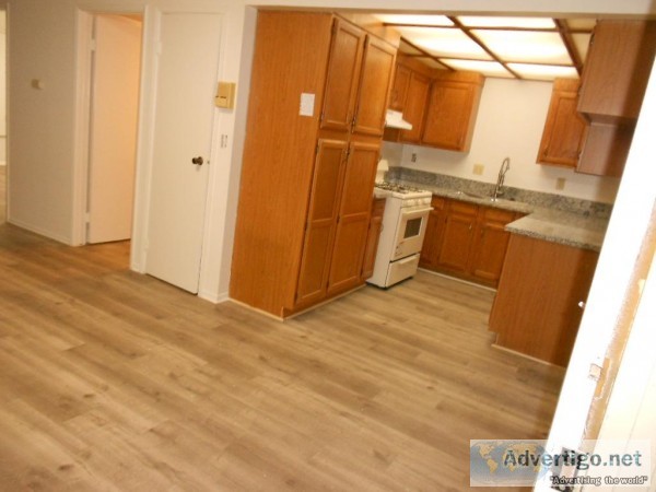 2021 upgraded apt.