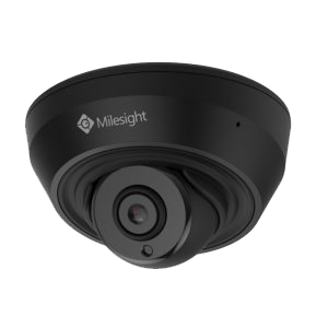 IP Cameras