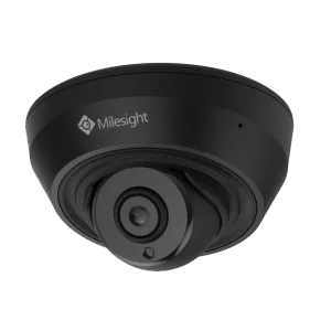 IP Cameras