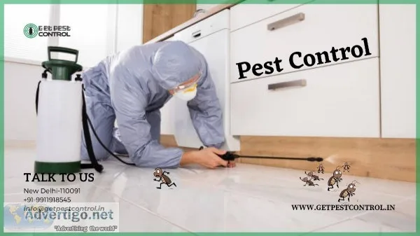 Best Pest Control in Delhi Pest Control Charges in Delhi