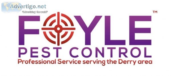 Foyle Pest Control Derry