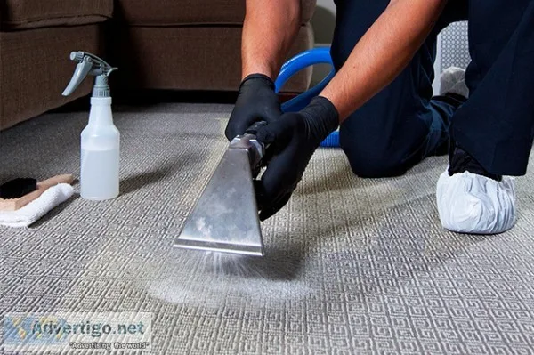 Carpet Shampooing Services  Aquuamarine