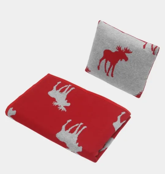 Baby Blanket Set- Pillow and Blanket (0-5yrs)