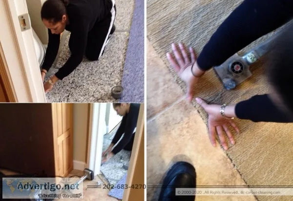 Qualified Cleaners You Can Trust AnytimeDC Carpet Cleaning