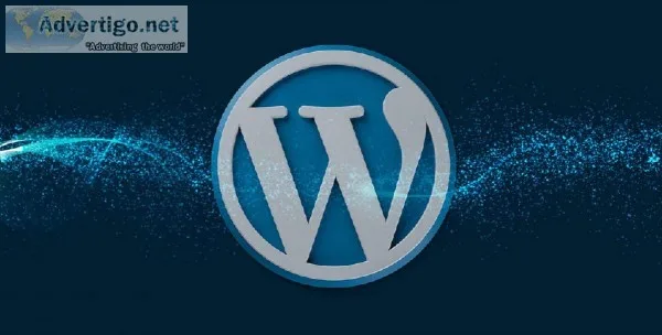 Expert WordPress Development Services - Affordable and Reliable
