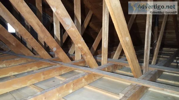Attic Insulation Removal by Celluloseman