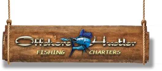 St Petersburg fishing charter&nbsp&nbsp