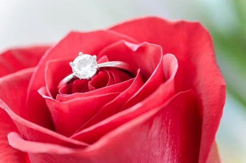 Malayalee christian brides