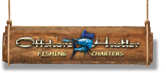 St Petersburg charter boat