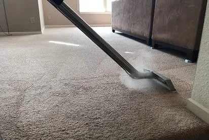 Get the Professional Carpet Steam Cleaning Services