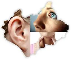 Visit best ent doctors in jaipur